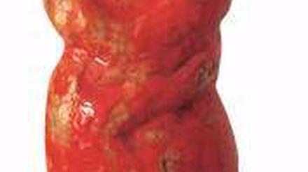 Trägt gern rot. Rapunzel Bräutigams „Ich“ im Rakubrand.