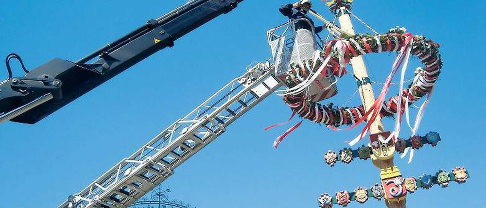 Blühendes Handwerk: Maibaum-Aufstellung in Teltow.