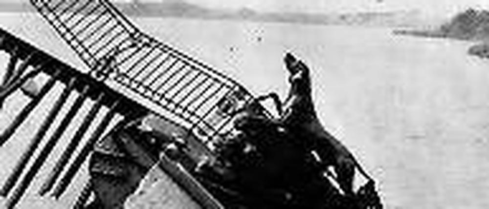 Von Deutschen gesprengt: Die Baumgartenbrücke mit Jagdhund.