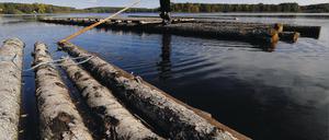 Die letzten Flößer von Deutschland hießen Walter Krebs, Klaus Krebs und Dieter Wendt. Nirgendwo in Deutschland wurde so lange geflößt wie in der Havelregion. Das steht mit absoluter Sicherheit fest, berichtet der heute 65-jährige Klaus Krebs  hier auf seinem seinem Floß auf dem Lychener Oberpfuhl.