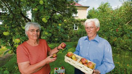 Gesund leben. Waltraud und Dieter Eisenberger haben in ihrem Garten in der Obstbausiedlung Eden Äpfel geerntet.