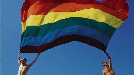 Die Farben des Regenbogens symbolisieren die Vielfalt und Lebensfreude der Lesben und Schwulen. Für mehr Akzeptanz vielfältiger Lebensweisen leistet das Aktionbündnis AndersARTig seit Jahren Aufklärungsarbeit an brandenburgischen Schulen.