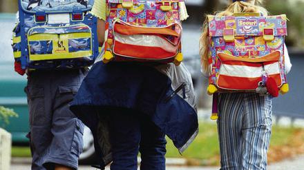 Wie Potsdams Schüler in die Schule kommen, kann für Eltern eine teure Angelegenheit werden.