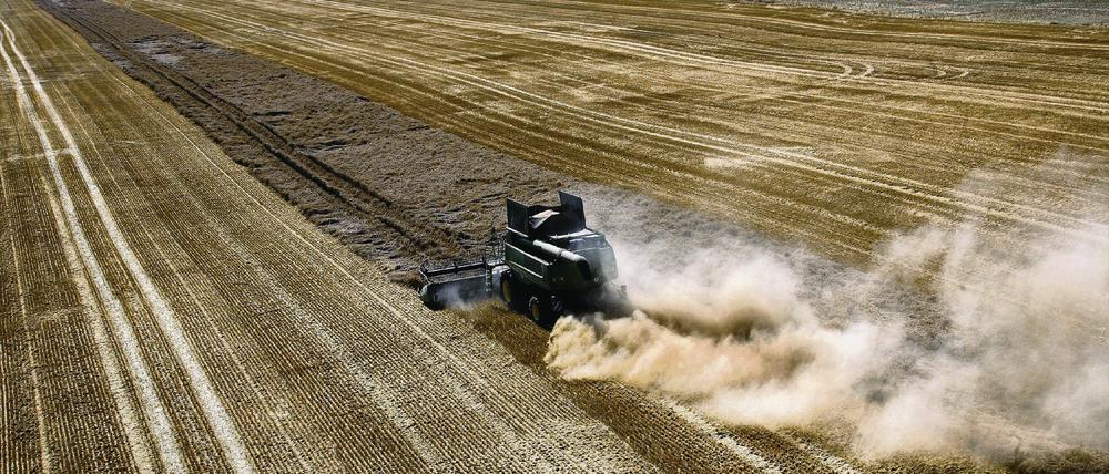 Ohne Richtlinie. Für die Verwertung von Pflanzen zur Produktion von chemischen Grundstoffen gibt es noch keine verbindliche Strategie der Bundesregierung.