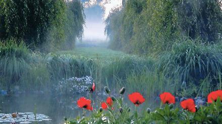 &amp;#Zauber der gezähmten Landschaft. Gartenkunst aus Brandenburg.