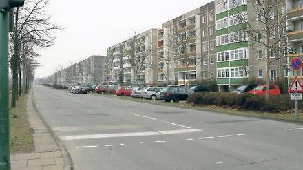Die sieben Meter breite Fahrbahn der Konrad-Wolf-Allee ist der Hauptstreitpunkt bei der geplanten Umgestaltung des Drewitzer Plattenbau-Stadtteils zur Gartenstadt. Ihr öder und trennender Charakter soll verschwinden.