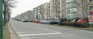 Die sieben Meter breite Fahrbahn der Konrad-Wolf-Allee ist der Hauptstreitpunkt bei der geplanten Umgestaltung des Drewitzer Plattenbau-Stadtteils zur Gartenstadt. Ihr öder und trennender Charakter soll verschwinden.