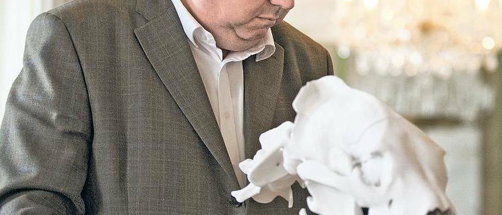 Sein oder Nichtsein. Zoodirektor Bernhard Blaszkiewitz erläuterte gestern im Tierpark das Ergebnis der Obduktion am Modell eines Eisbären-Schädels.