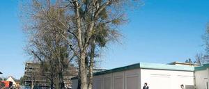 Die Bauaufsicht hat die weitere Nutzung der Container an 70 000 Euro teure Auflagen geknüpft.