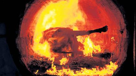 Feuerprobe. Für die rot-rote Regierungskoalition geht es um mehr als nur um die Ersparnis von 2,5 Millionen Euro an Landeszuschüssen zur Entsorgung von Tierkadavern. Es geht auch um ein Signal  wie ernst es SPD und Linke mit dem Sparwillen meinen.