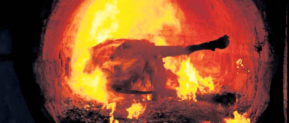 Feuerprobe. Für die rot-rote Regierungskoalition geht es um mehr als nur um die Ersparnis von 2,5 Millionen Euro an Landeszuschüssen zur Entsorgung von Tierkadavern. Es geht auch um ein Signal wie ernst es SPD und Linke mit dem Sparwillen meinen.