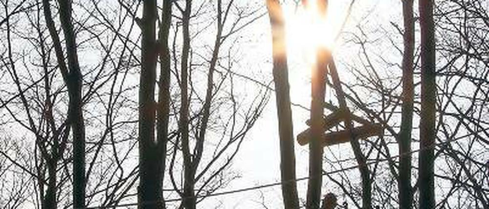 An der Spitze. Klettern in Baumwipfeln im Abenteuerpark Potsdam.