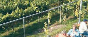 Herbstlicher Blick von der Weintiene auf dem Wachtelberg. Eine ähnlich gestaffelte Aussicht könnte es bald auch von der Terrasse der Bismarckhöhe geben.