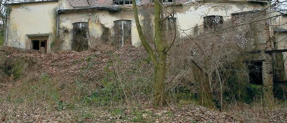 Ruinöse Reststrukturen: Der historische Saal des ehemaligen Restaurants Weinbergterrassen, Kernbau des historischen Restaurants Mühlenberggrotte, wird abgerissen. Im Vorderhaus und in zwei Neubauten auf dem Areal entstehen Wohnungen.