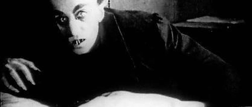 Nosferatu  Sinfonie des Grauens open air vor der Orangerie.