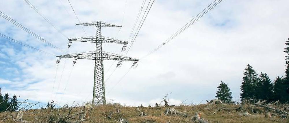 Für Erdkabel. Damit Naturlandschaft in Brandenburg erhalten bleibt, wollen Grüne und FDP im Potsdamer Landtag einen gemeinsamen Gesetzentwurf für Erdkabel. Danach sollen 110-Kilovolt-Leitungen grundsätzlich nur noch unterirdisch gebaut werden dürfen.