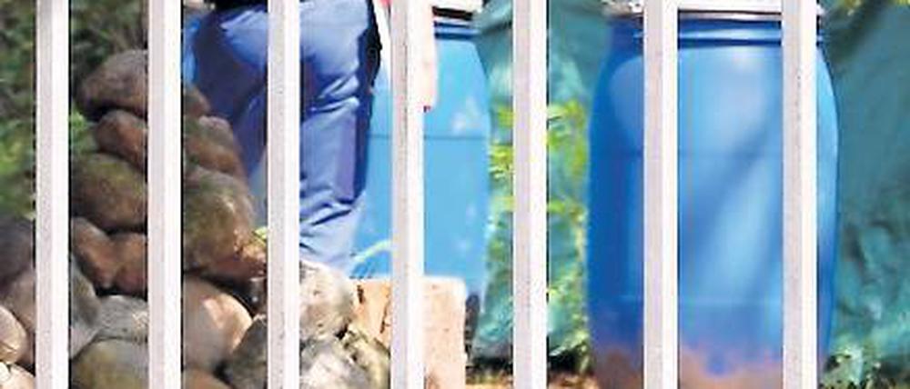 Sorgfältig, wie selten in solchen Fällen, hat René S. die Leichen zerstückelt.