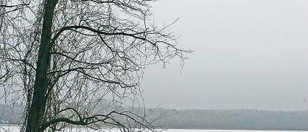 Stilles Wasser. Im August sollen auf Hermannswerder die Seefestspiele stattfinden. Obwohl es noch keine Genehmigung gibt, sind schon 3000 Karten verkauft.