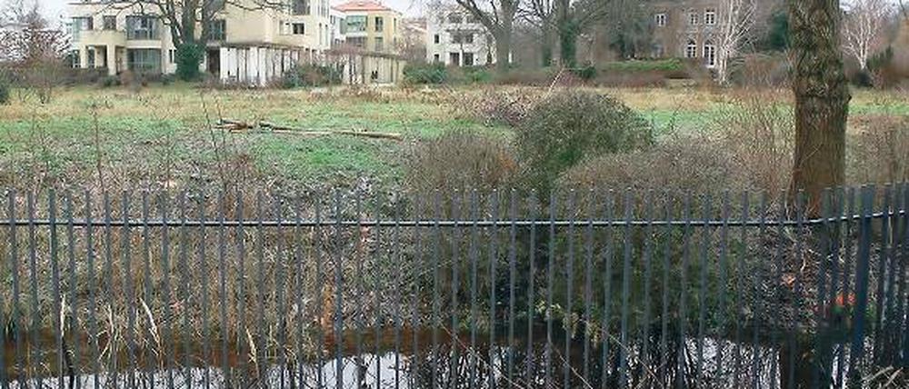 Bauland? Die vier Grundstücke an der Spitze des Glienicker Horns.