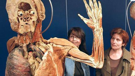 Letzter Arbeitstag. Besucher betrachten im Plastinarium menschliche Präparate.