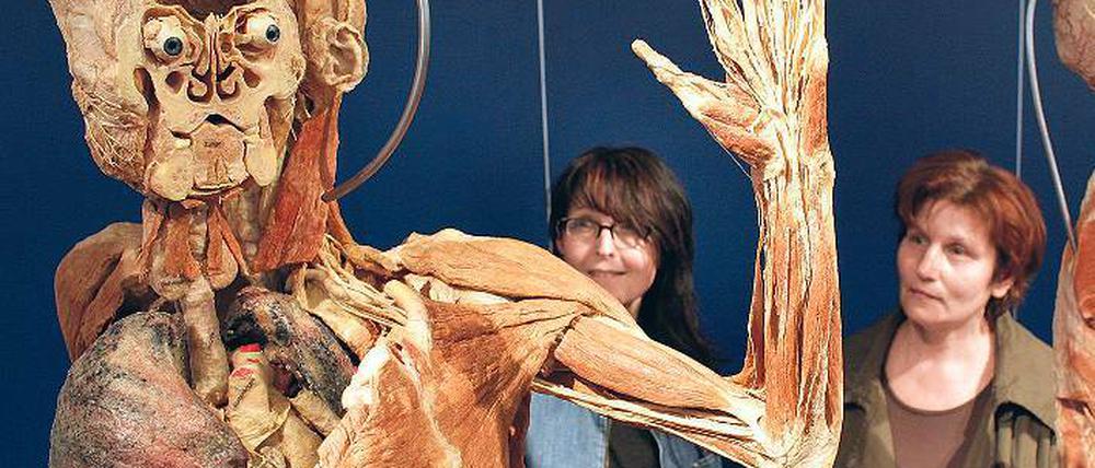 Letzter Arbeitstag. Besucher betrachten im Plastinarium menschliche Präparate.