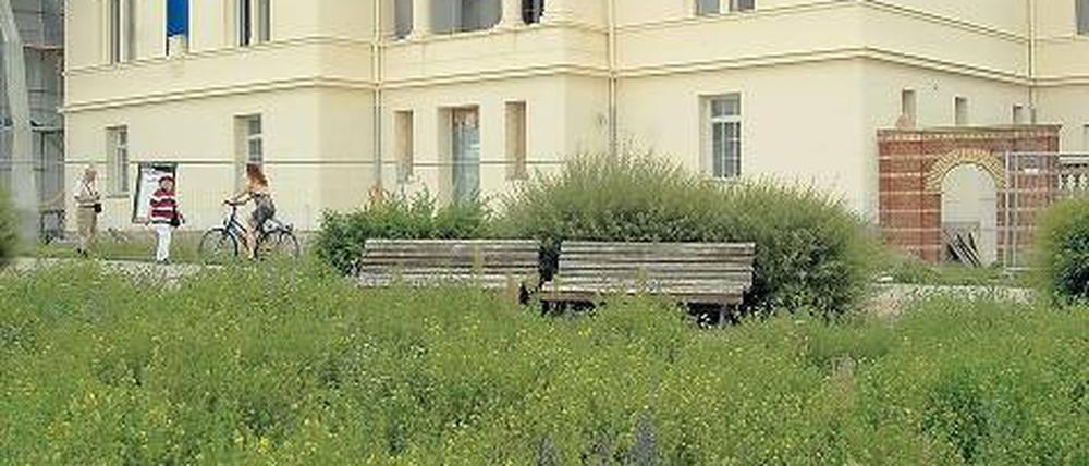 In Zukunft auch mit literarischem Salon. Die Villa Schöningen.