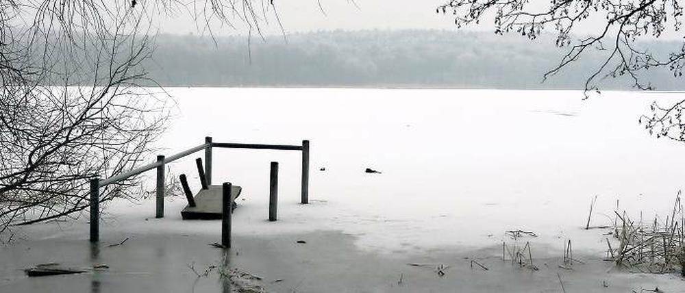 Winterruhe. Eis und Raureif verzaubern derzeit das Ufer auf Hermannswerder, dort, wo im August dieses Jahres zum ersten Mal die Seefestspiele stattfinden sollen. Schüler des benachbarten evangelischen Gymnasiums wehren sich gegen die Pläne.