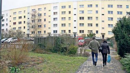 Der Schlaatz. In dem Plattenbaugebiet werden über das Projekt Junges Wohnen Unterkünfte für Wohngemeinschaften angeboten.