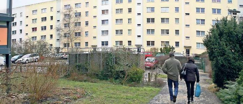 Der Schlaatz. In dem Plattenbaugebiet werden über das Projekt Junges Wohnen Unterkünfte für Wohngemeinschaften angeboten.