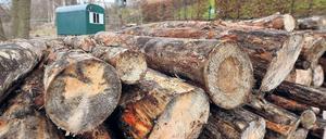 Eine Menge Holz. Sperre auf dem Ufergrundstück unterhalb der Rudolf-Breitscheid-Straße. Am Sonntag ab 12 Uhr lädt die Initiative Griebnitzsee für alle zum Glühwein im Sperrgebiet unterhalb des Hotels am Griebnitzsee ein.