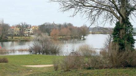Blick aus dem Park Babelsberg auf das Glienicker Horn. Umstritten ist die mögliche Bebauung der Landzunge mit Neubauten bis ans Wasser heran.