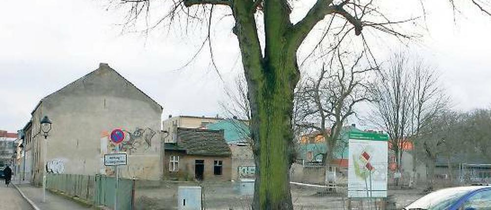 Brache verschwindet. Das Areal an der Ecke Neue Straße / Mühlenstraße wird bebaut. Neben preisgebundenen Mietwohnungen sollen Stadthäuser in privater Baugmeinschafts-Verantwortung entstehen. Komplettiert wird das Quartier mit einer Kinder-Tagespflege. 