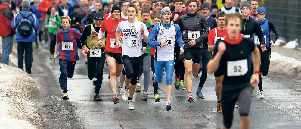Sportlich um den See. Mehr als 300 Läuferinnen und Läufer waren am Sonntag in Caputh auf insgesamt drei Distanzen unterwegs.