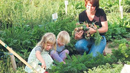 Glück auf der Scholle: Der Mietgarten hier bei Bonn hat auch einen erzieherischen Effekt.