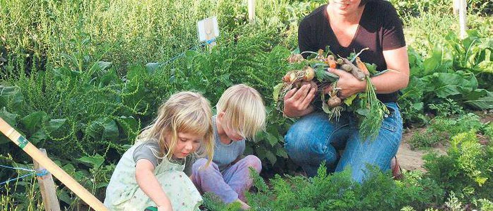 Glück auf der Scholle: Der Mietgarten  hier bei Bonn  hat auch einen erzieherischen Effekt.