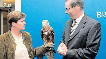 Keine Angst vor großen Tieren: Brandenburgs Ministerpräsident Matthias Platzeck übernahm gestern die Schirmherrschaft über den Rotmilan Sophie, getragen von Falknerin Ilka Simm-Schönholz.