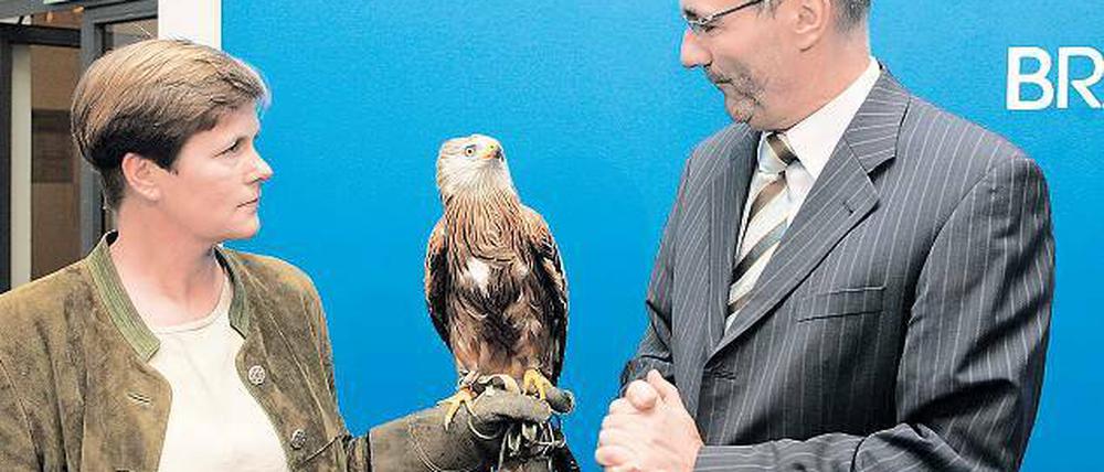 Keine Angst vor großen Tieren: Brandenburgs Ministerpräsident Matthias Platzeck übernahm gestern die Schirmherrschaft über den Rotmilan Sophie, getragen von Falknerin Ilka Simm-Schönholz.