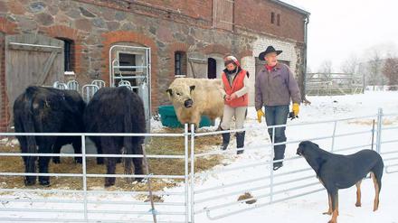 Für das ultimative Miteinander. Der TV-Moderator Dieter Moor und seine Frau mit Galloway-Rindern auf ihrem Grundstück im brandenburgischen Hirschfelde. Moor interessiert sich nicht nur für Hochkultur. Im brandenburgischen Hirschfelde betreibt er seit sieben Jahren einen Öko-Bauernhof.