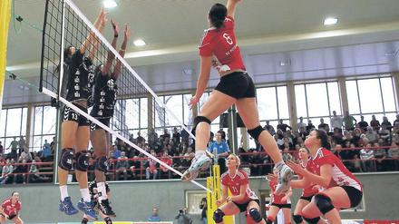 Den Favoriten gefordert. Im DVV-Pokal-Viertelfinale unterlagen die Volleyballerinnen des SC Potsdam  hier ihre Nationalspielerin Patricia Grohmann beim Angriff  daheim dem Cup-Verteidiger Dresdner SC nach zwei knappen ersten Sätzen mit 0:3.
