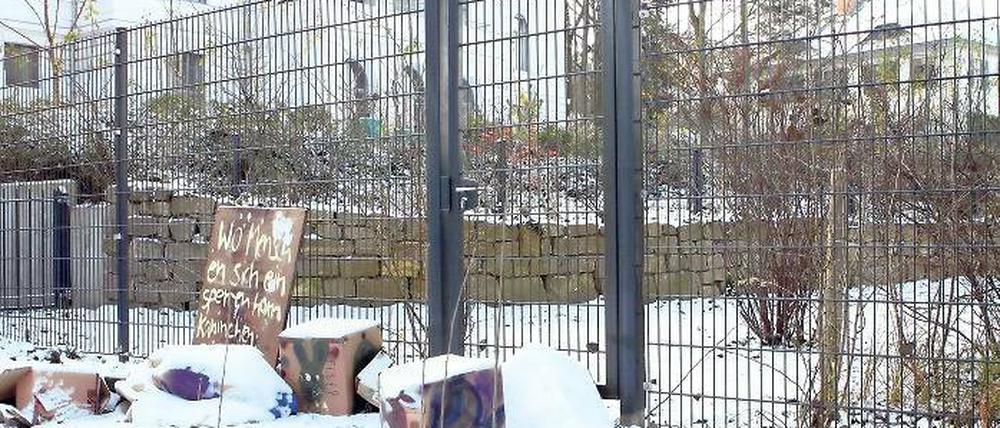 Unbeirrt. Trotz leerer Kassen hält Potsdams Oberbürgermeister Jann Jakobs (SPD) daran fest, das derzeit für die Öffentlichkeit gesperrte Seeufer am Griebnitzsee wieder öffentlich zu machen  Kostenpunkt: rund 13 Millionen Euro.