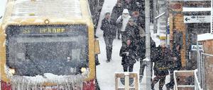 Bahn mit Bart. Wie schon im vorigen Winter hatte die S-Bahn Probleme. Kaum ein Zug fuhr pünktlich.