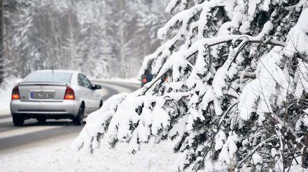 Wintermärchen bei Senftenberg. Für die kommenden Tage erwarten Meteorologen weiteren Schnee.