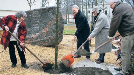 Ein Gedenkhain für Johannes Lepsius: Mitglieder des Vorstandes des Vereins Lepsiushaus  darunter der Enkel von Lepsius, Prof. Manfred Aschke (3.v.r.)  pflanzten gestern Bäume im Umfeld des Lepsiussteins.