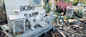 Letzte Grüße. Gedenksteine erinnern auf dem Teltower Tierfriedhof an geliebte Vierbeiner.