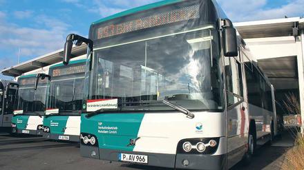 Sieben auf einen Streich: Die fabrikneuen Volvo-Busse auf dem ViP-Hof.