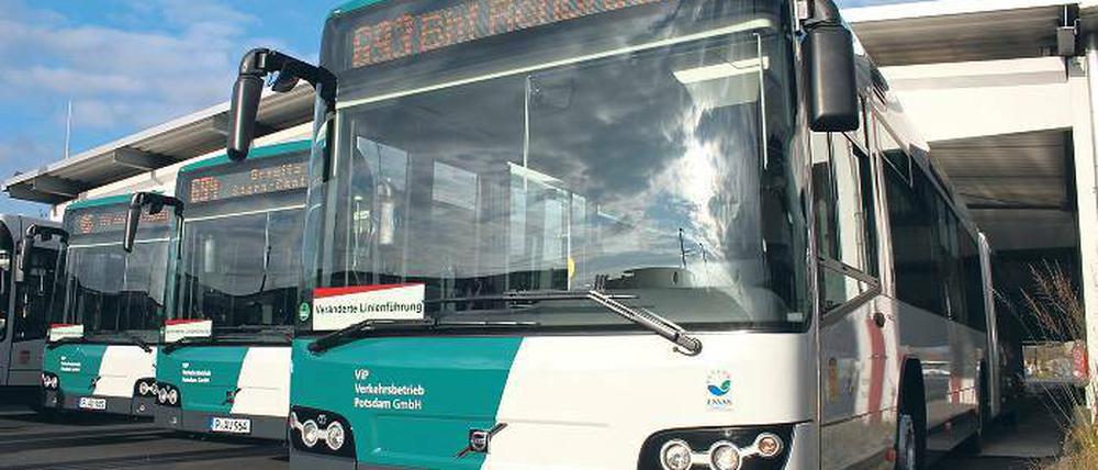 Sieben auf einen Streich: Die fabrikneuen Volvo-Busse auf dem ViP-Hof.