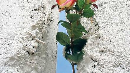 Was die Mauerspechte schufen: Platz für Blumen am Gedenktag.