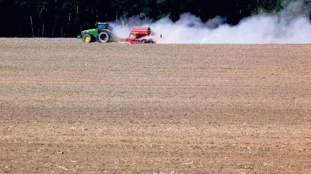 Im Angebot. Allein 2011 laufen für rund 56 000 Hektar Agrarland in Brandenburg die Pachterträge aus. Bei den Ausschreibungen haben die Bauern oft das Nachsehen.