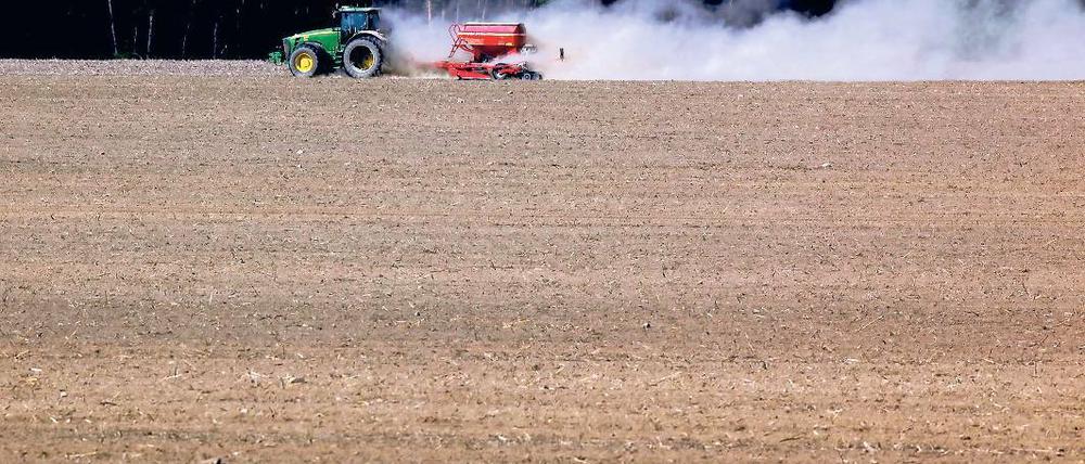 Im Angebot. Allein 2011 laufen für rund 56 000 Hektar Agrarland in Brandenburg die Pachterträge aus. Bei den Ausschreibungen haben die Bauern oft das Nachsehen.