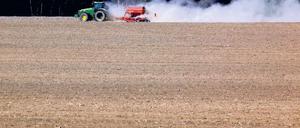 Im Angebot. Allein 2011 laufen für rund 56 000 Hektar Agrarland in Brandenburg die Pachterträge aus. Bei den Ausschreibungen haben die Bauern oft das Nachsehen.